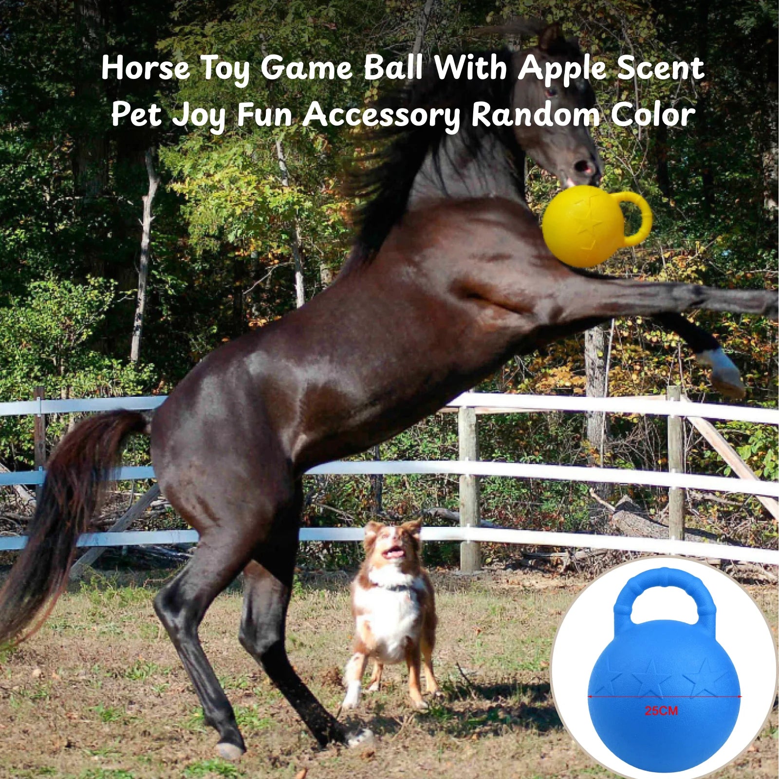 Pelota de juego con mango y aroma a manzana para caballo