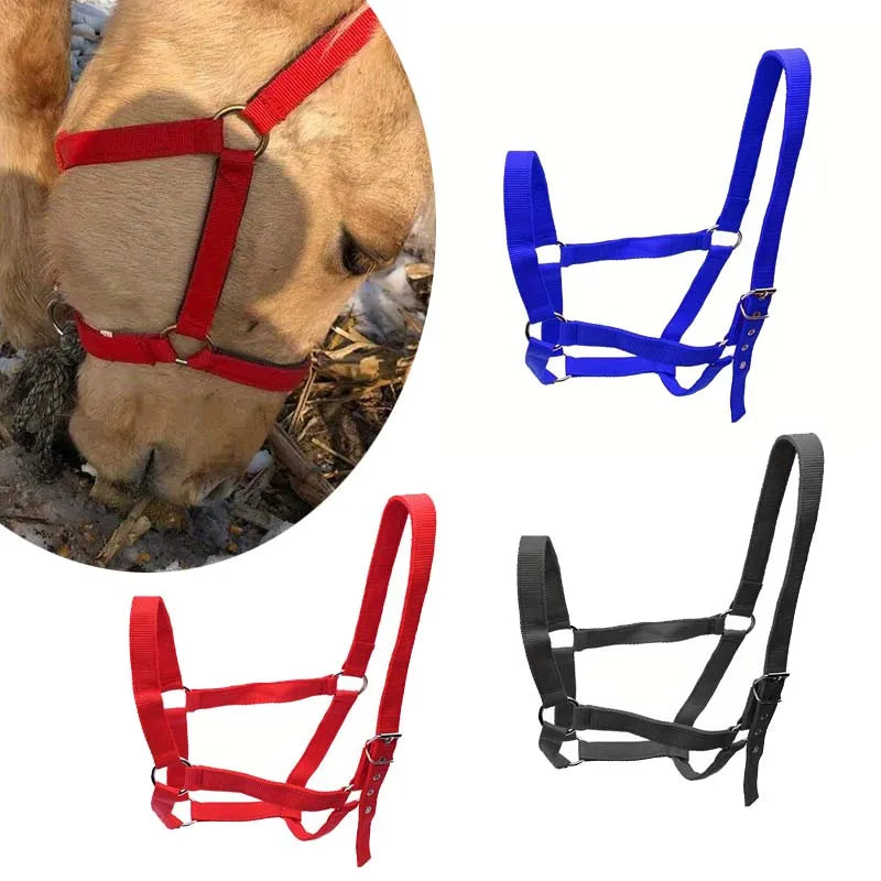 Cabestro profesional ajustable para caballo